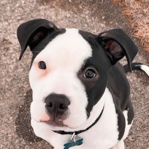 Meet your Posher, Jayna